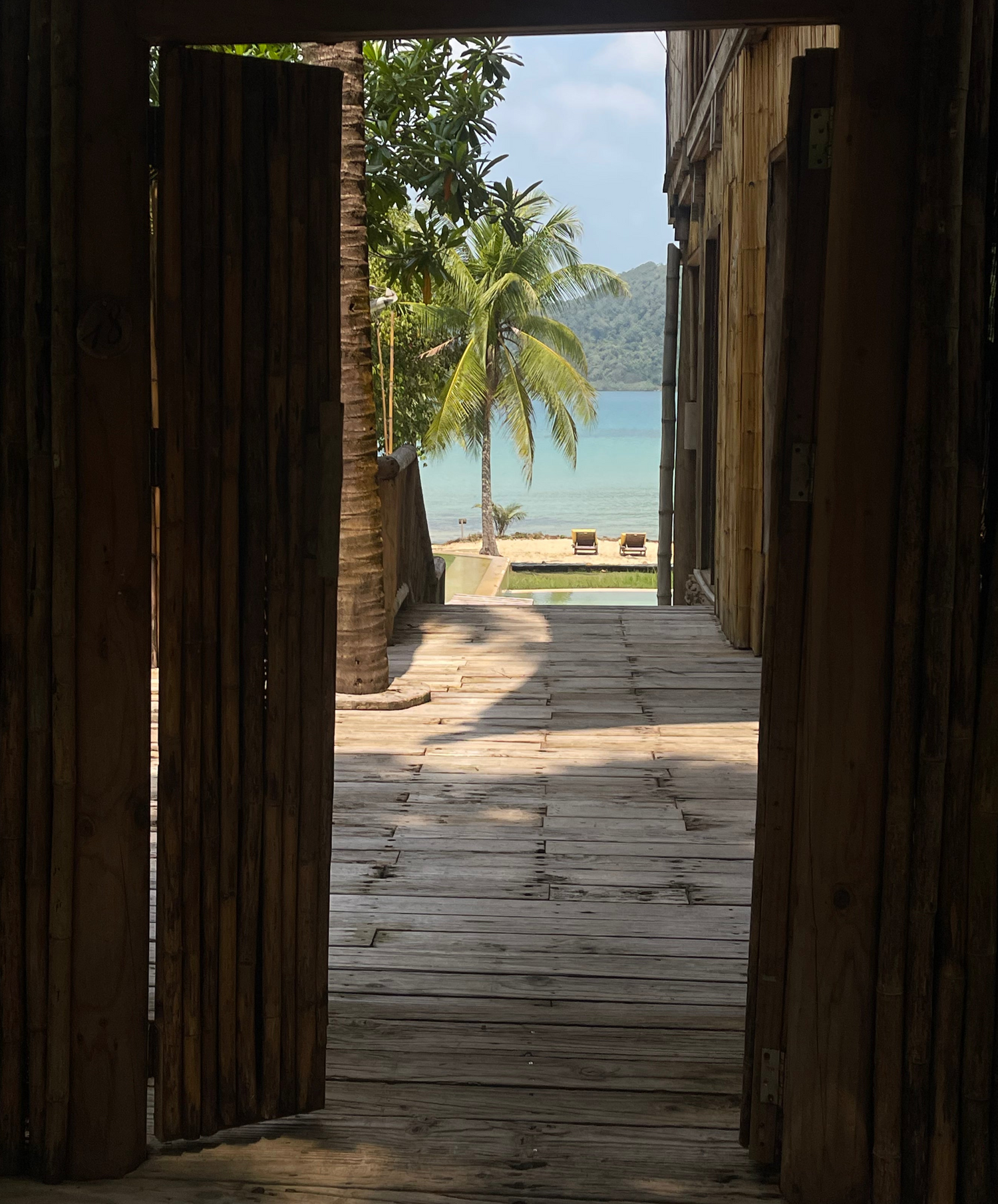 Tajmi Travels: Thailand Edition