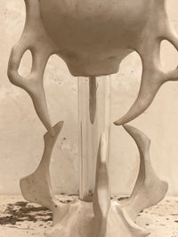 Goblet 12