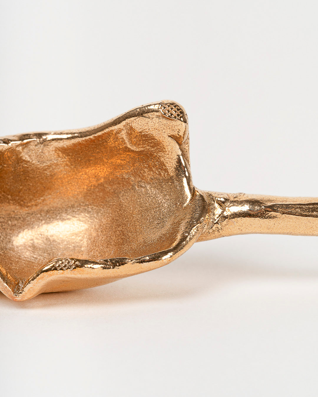 Bronze Spoon 05