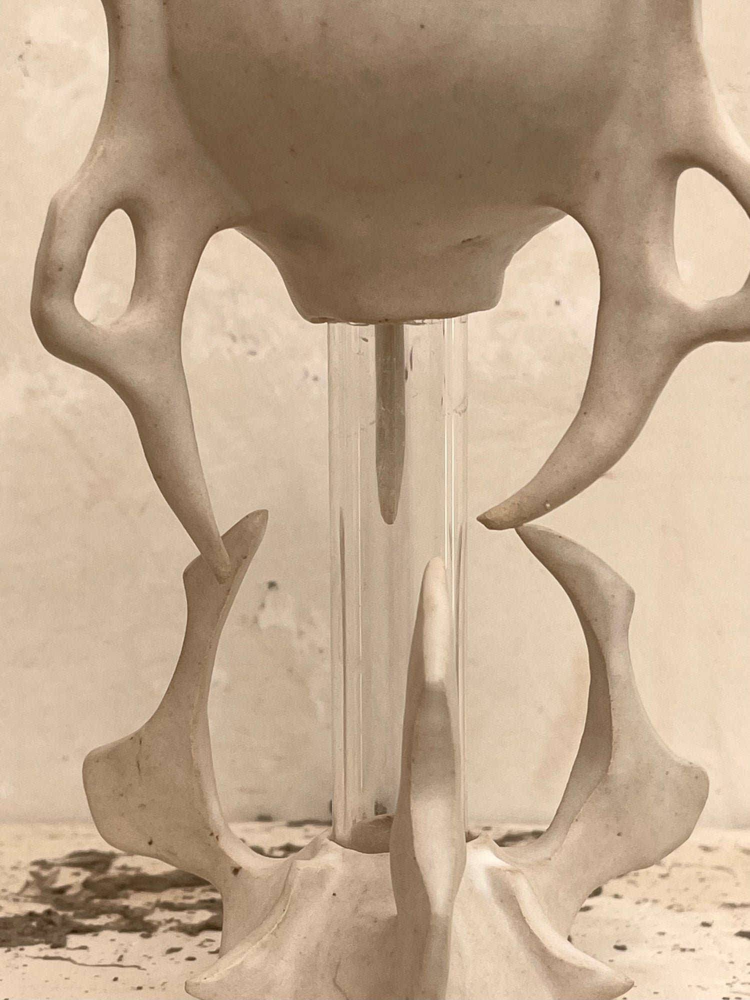 Goblet 12