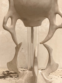 Goblet 12