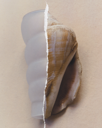 Paguro Satin Glass