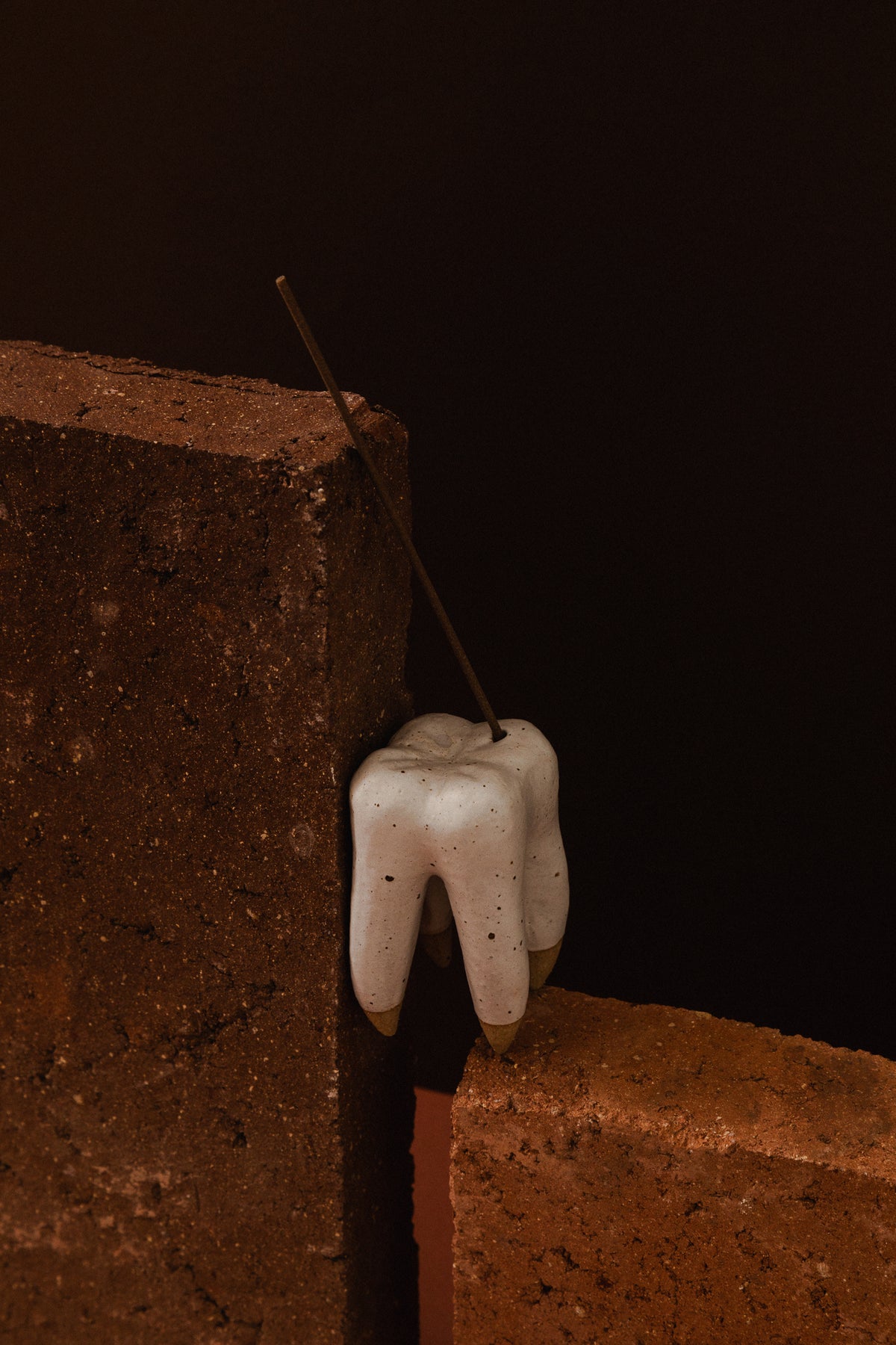 Tooth Incense Holder